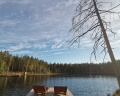 Forest lake: отзыв от Любовь Петрова