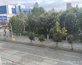 Чеховъ: отзыв от Елена Макарова