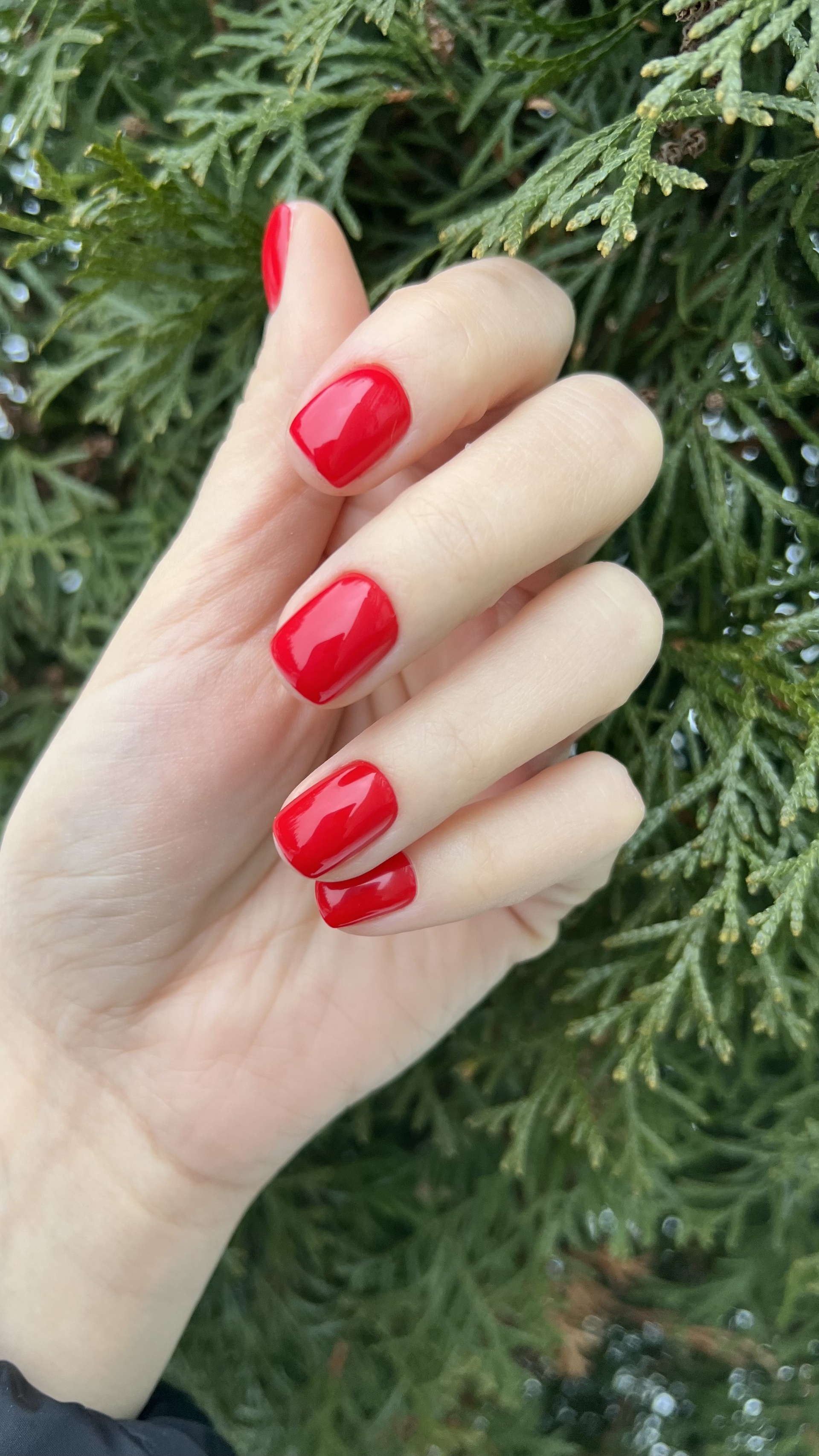 Hitnail, студия красоты, бульвар Победы, 50а, Воронеж — 2ГИС