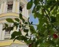 Владимирский собор: отзыв от Елена Ру