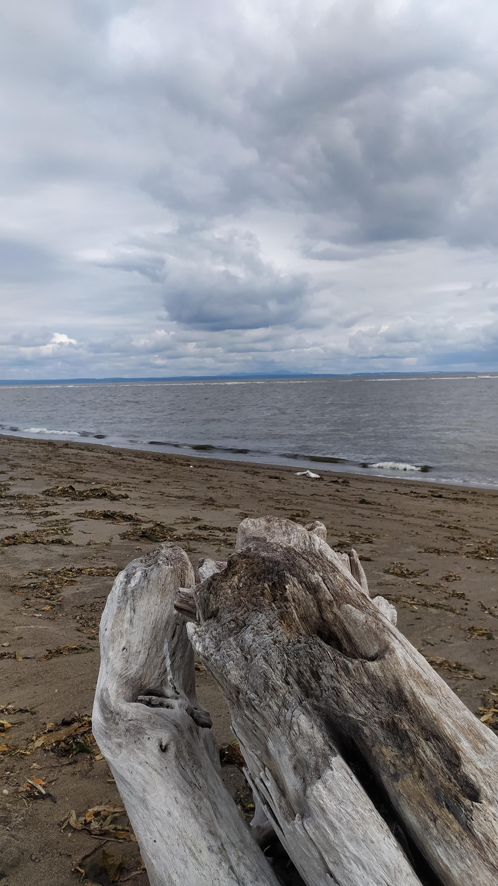 Домик у моря, гостевой дом, с. Рыбацкое, с. Рыбацкое — 2ГИС