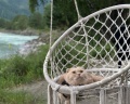 108 желаний на Алтае: отзыв от Татьяна Экспертовна
