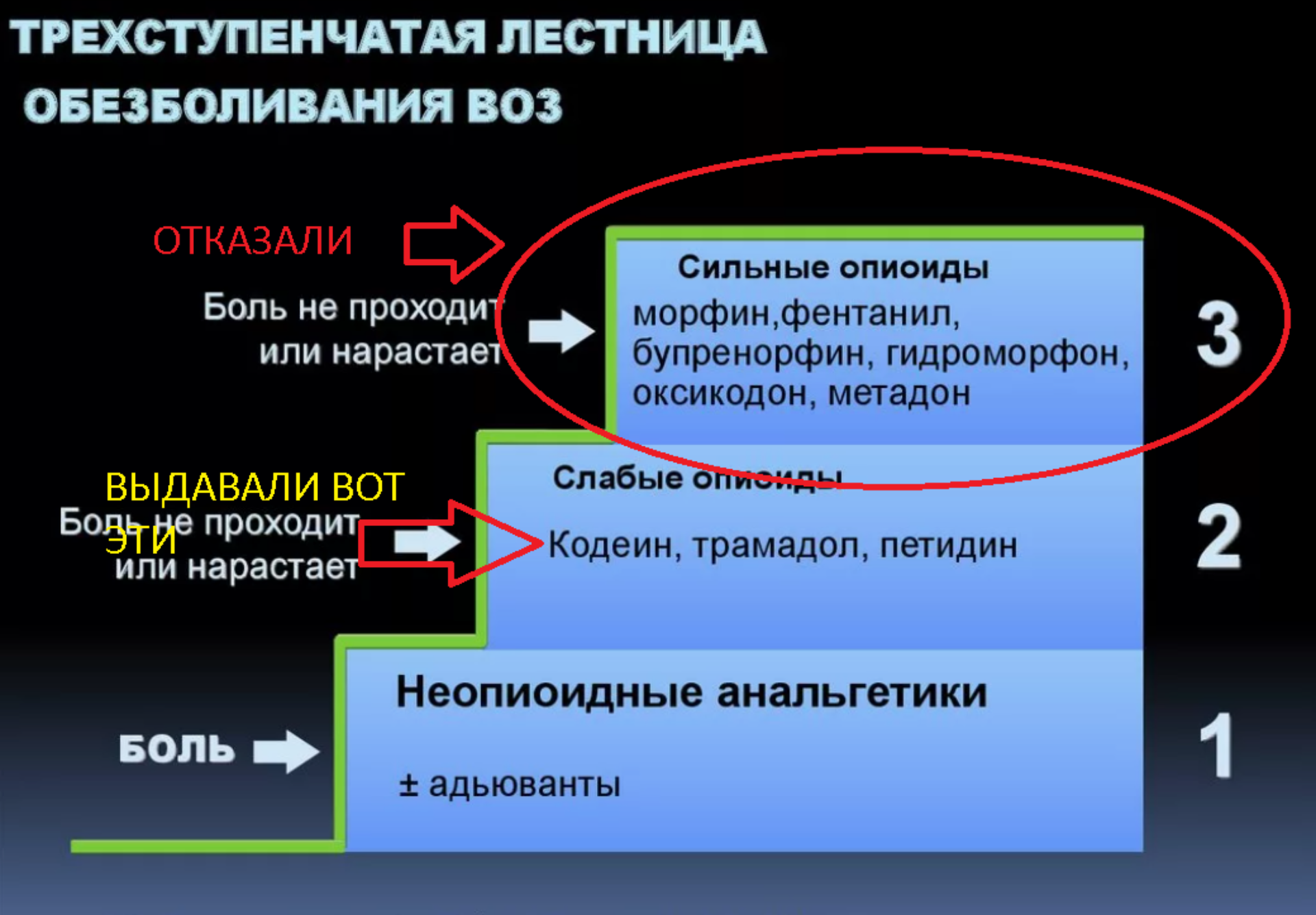 Амбулаторно-поликлинический комплекс, аллея Берёзовая 2-я, 3-5,  Санкт-Петербург — 2ГИС