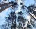 Оланга на воде: отзыв от Инна Борисова
