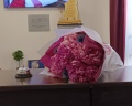Рос отель Измайлово: отзыв от Агриппина Иванова