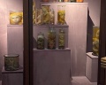 Кунсткамера: отзыв от Денис К