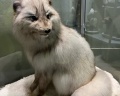 Музей природы: отзыв от Ольга Фитнес-тренер