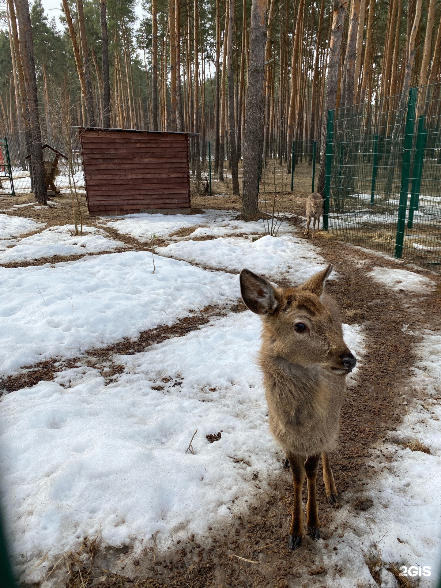 Червленый Яр, зоопитомник, Смородиновая, 2д, Воронеж — 2ГИС