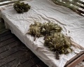 BaikalWood Hotel&SPA: отзыв от Мария Мустакаева