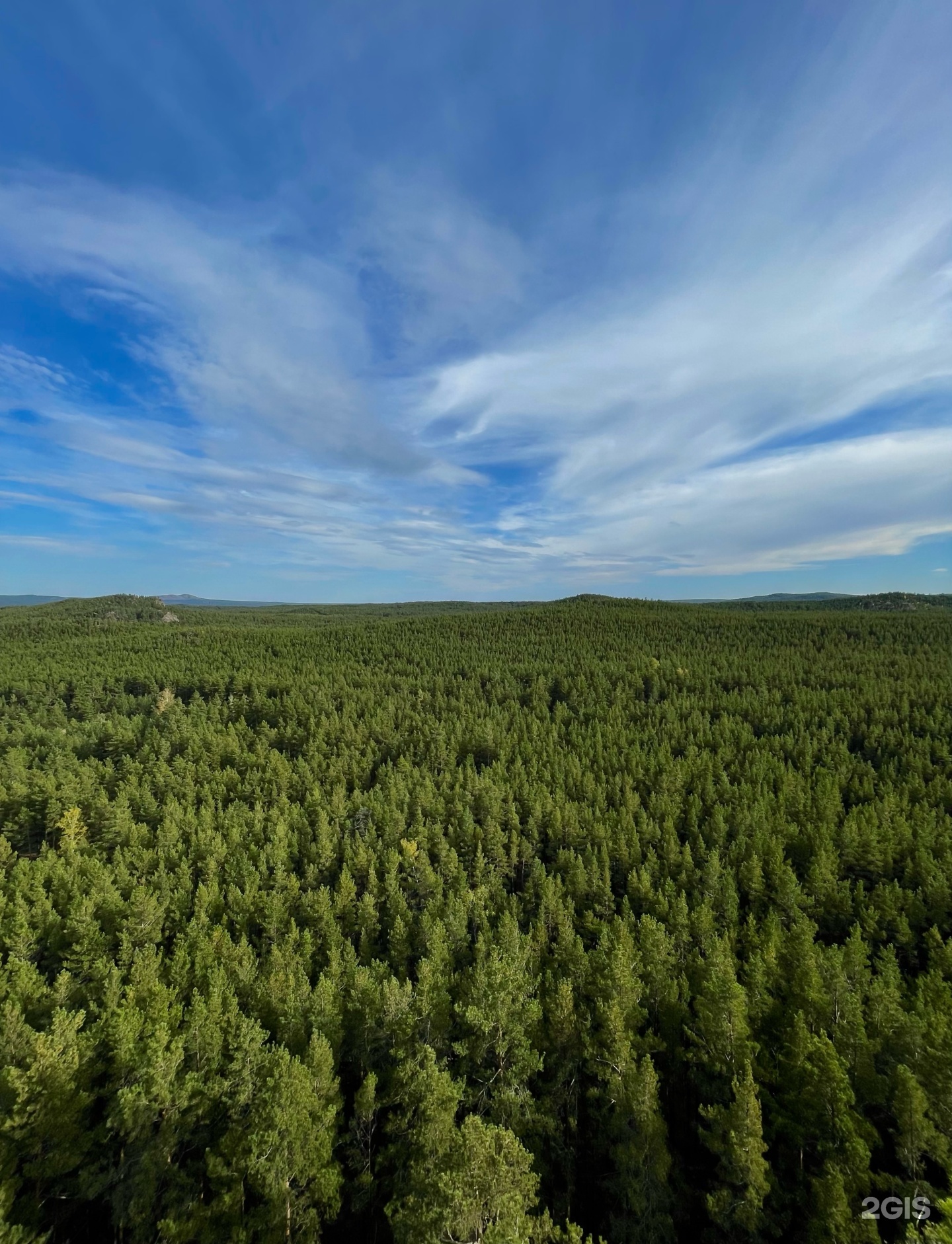 Екі жігіт теледидар алдында бір-бірін жұлқылайды