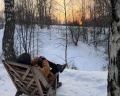 Urman Camp: отзыв от Оксана Коваленко