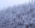 Морской бриз: отзыв от Марина Жданова