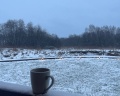 Wish Home Eco-Lodge Yahroma: отзыв от Lyubov Nepovinnykh