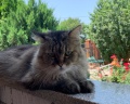 Svetlitsa Guest House: отзыв от Юлия Боярова