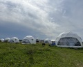 КосмоСфера: отзыв от Надежда Перескокова
