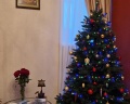 У блаженной Ксении: отзыв от Ксения