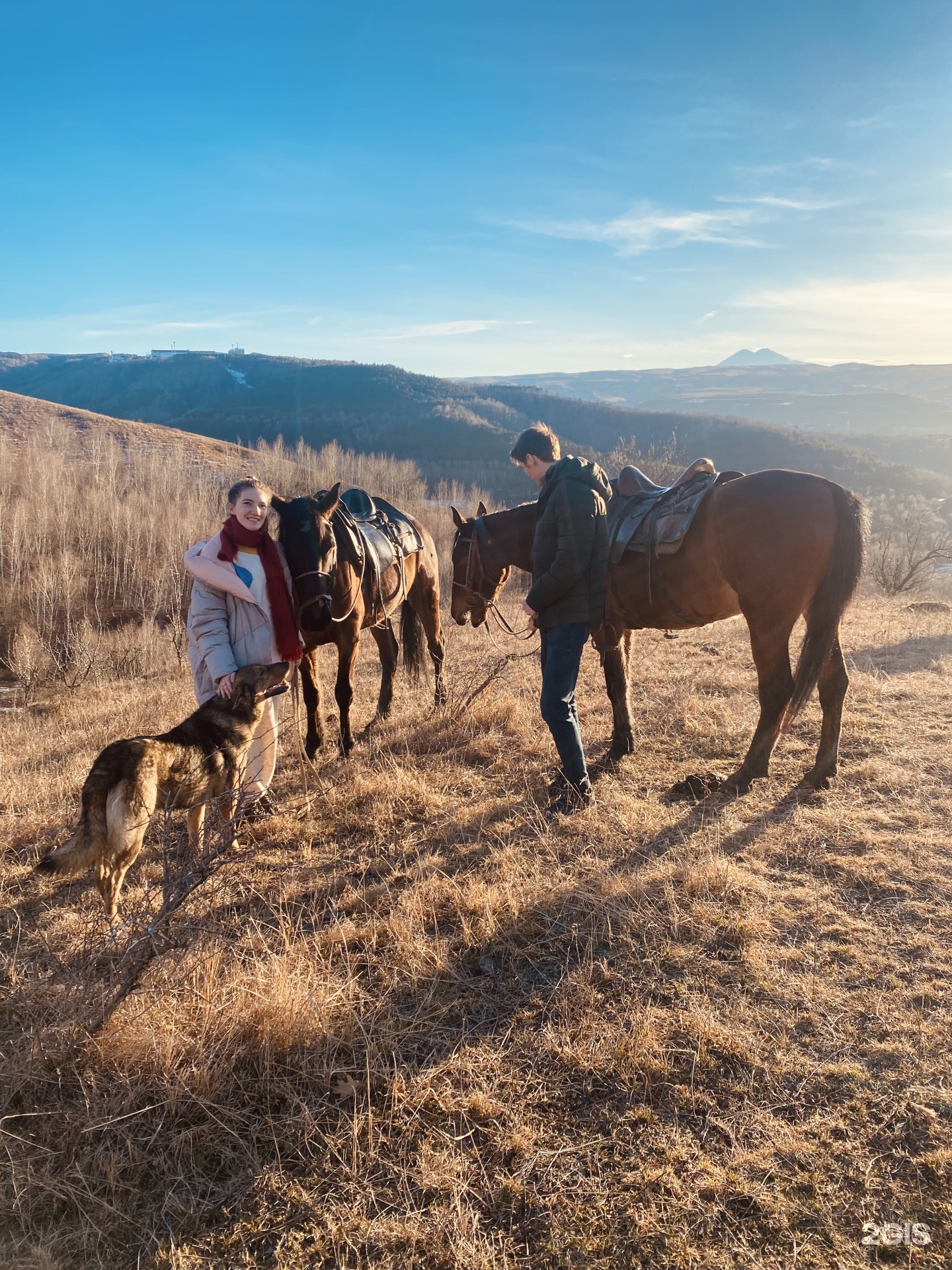 Horse Kislovodsk, конный клуб, улица Гайдара, 30, Кисловодск — 2ГИС