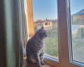 Olkhon Hill: отзыв от Yuliya Yuliya