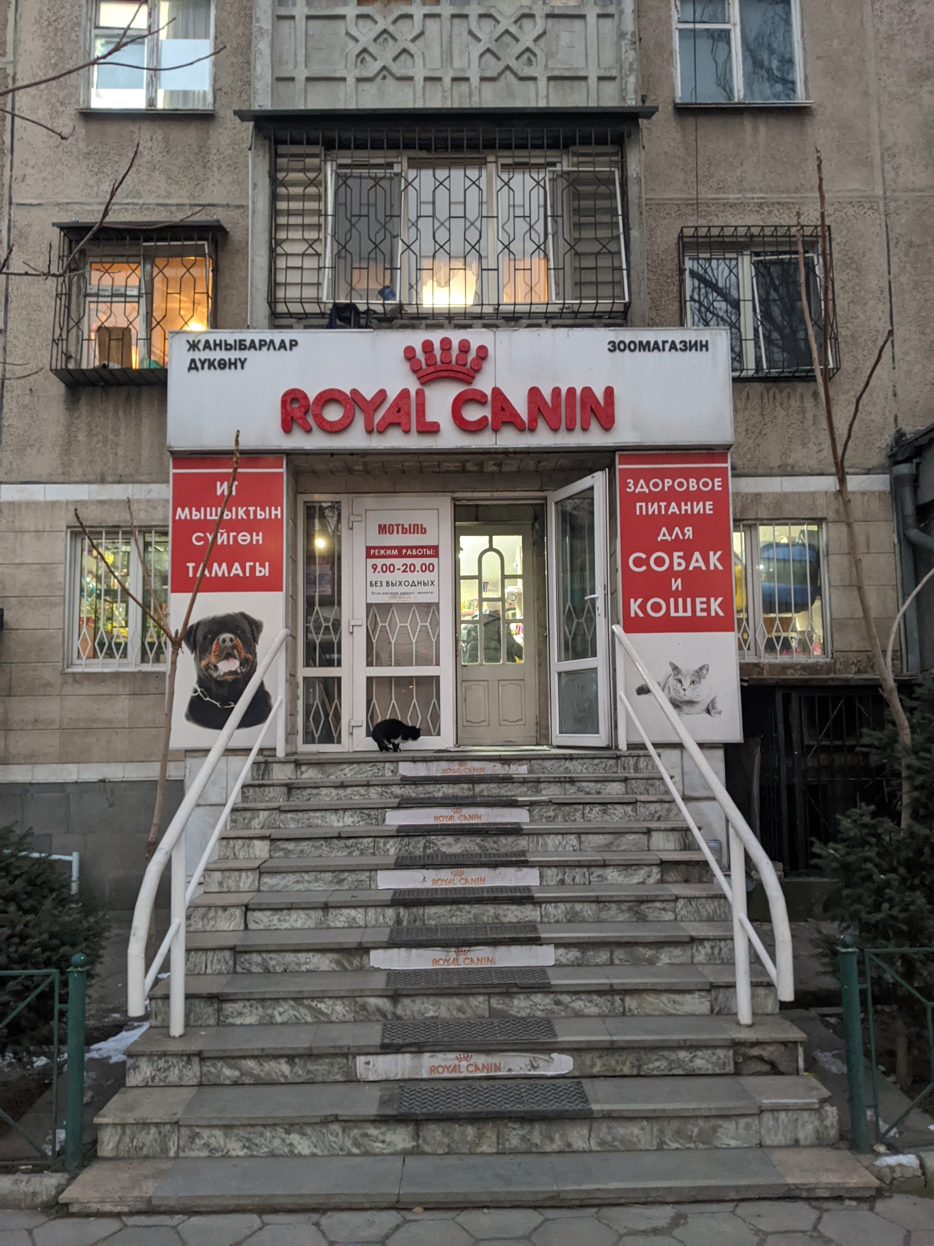 Royal Canin, зоомагазин, улица Гоголя, 127, Бишкек — 2ГИС