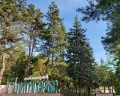 Пятигорье: отзыв от Юлия Федосова