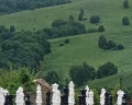 Алтай Пэлас: отзыв от Виктория Teter.