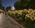 Кремлёвский дворец: отзыв от Mira Mir