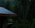 Pinewood resort&SPA: отзыв от Алёна Балашова