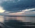 OpenSea: отзыв от Екатерина Соколова