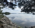 Северный сад: отзыв от Дарья Морозова