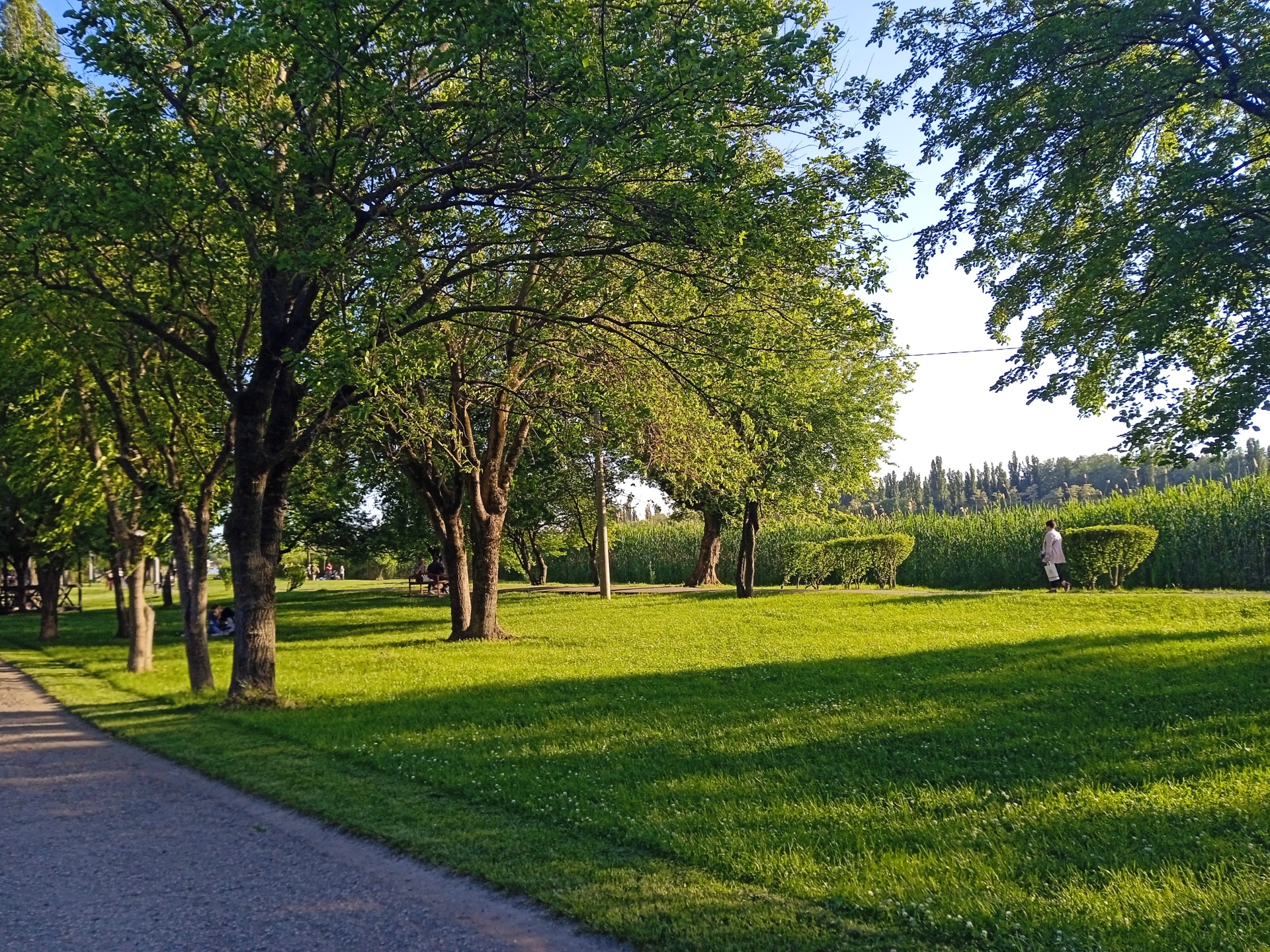 Старая Кубань, городской пляж, Краснодар, Краснодар — 2ГИС