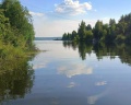 Вербная роща: отзыв от Polina O.