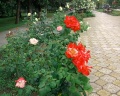 Знание: отзыв от Анна .