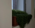 Переславль: отзыв от Мария Копчина