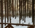 The Lagom: отзыв от Стас Мещеряков