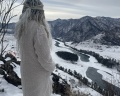 Айвенго: отзыв от Наталья Куц
