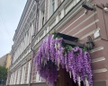 Пушкин: отзыв от Юлия Сычева