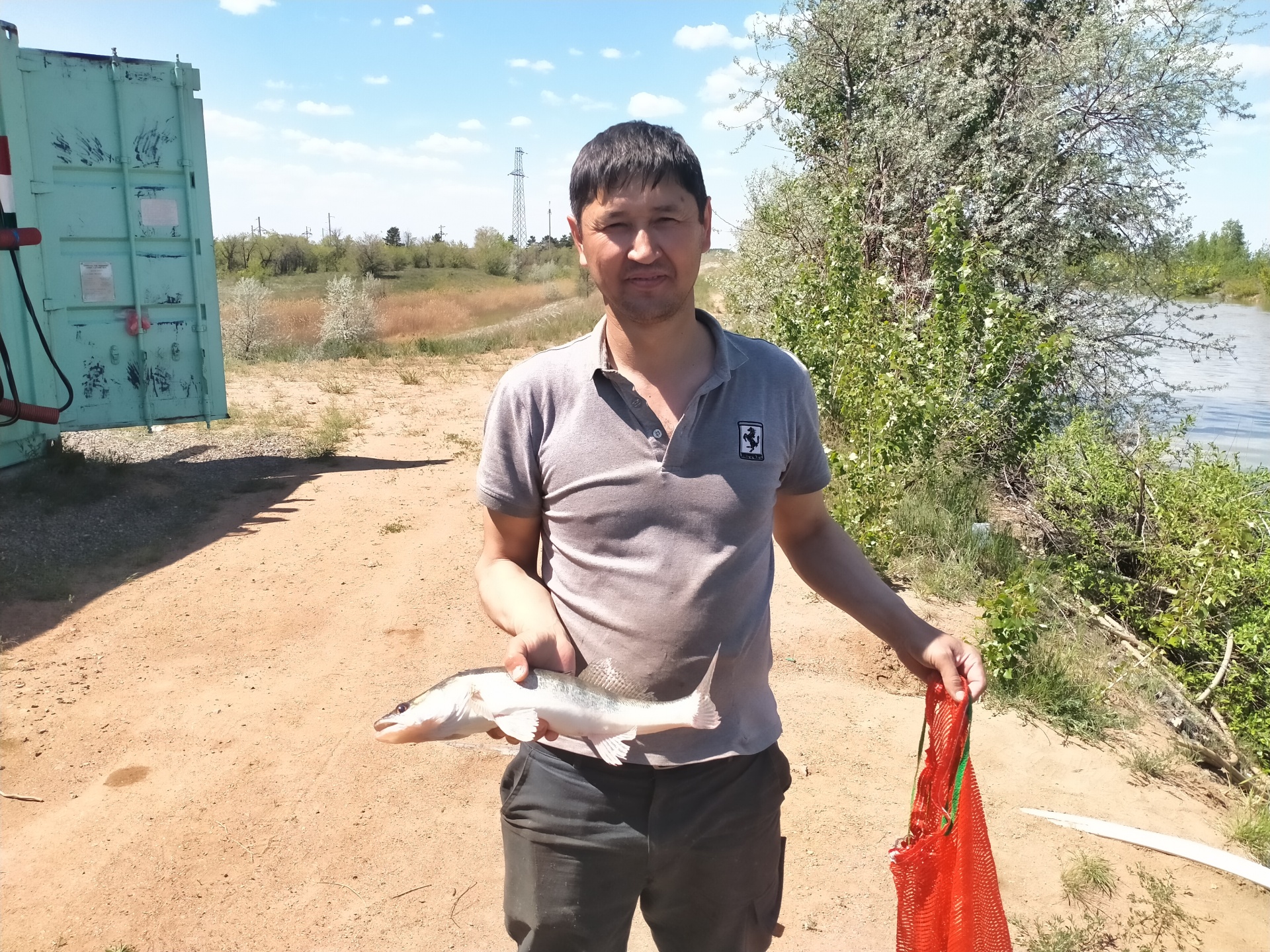 КронАгро, крестьянское хозяйство, улица Камзина, 2, Аксу — 2ГИС