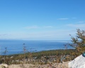 Yurt camping: отзыв от Mila Grin