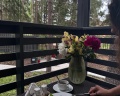 Энергетик: отзыв от EVIA Fruits
