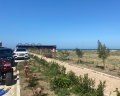 Рубас: отзыв от Алисия