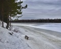 Точка на карте: отзыв от Жанна :Р