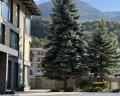 Blanc Hill by Adamand Resort: отзыв от Кристина Угнивенко