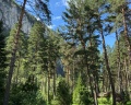 Grand Chalet Altay: отзыв от Ольга Лайкова