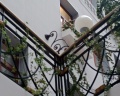 Renartiss Isaakiy St. Petersburg hotel: отзыв от Ирина Сорокина