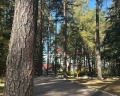 Озеро Белое: отзыв от Лариса Рыбакова