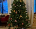 Flora&Fauna Sheregesh: отзыв от Диана Глинская