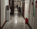 Gray Hotel: отзыв от 📌 Хабаровчанка
