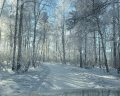 Hygge Barn : отзыв от Андрей Галичин