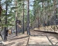 Лукоморье: отзыв от Дарья Блохинцева