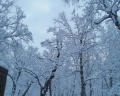 Kamchatka forest lodge: отзыв от Людмила Помелова